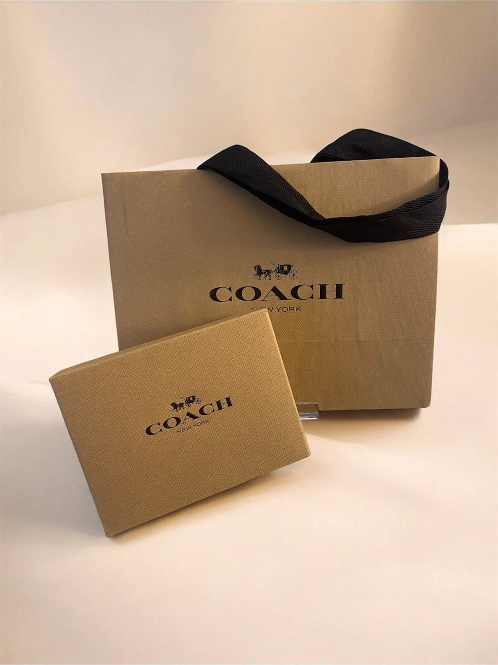 Coach Tan Box with Tan Bag Set